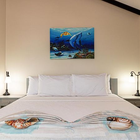 Casa Nova Cabanas San Pedro  Eksteriør bilde
